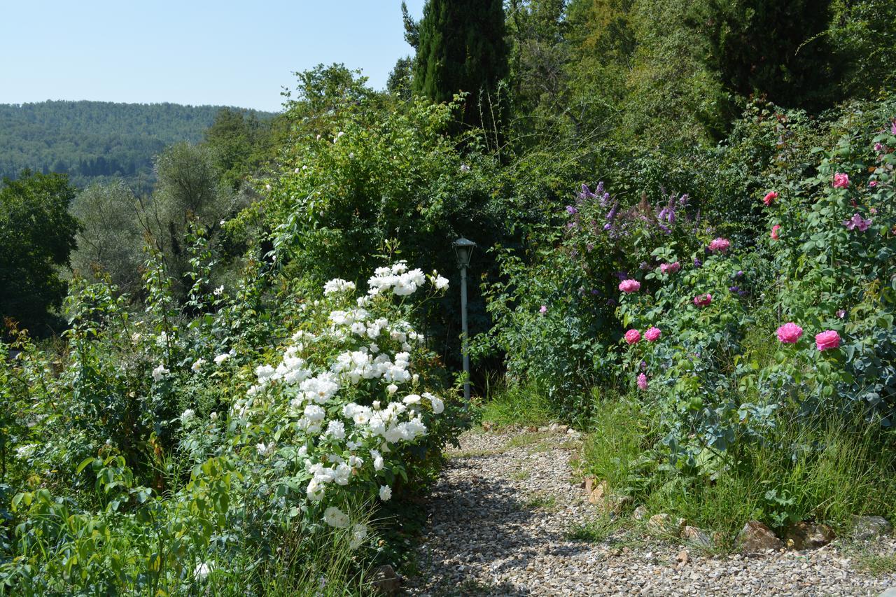 B&B Podere Il Colto Gaiole in Chianti Exterior foto