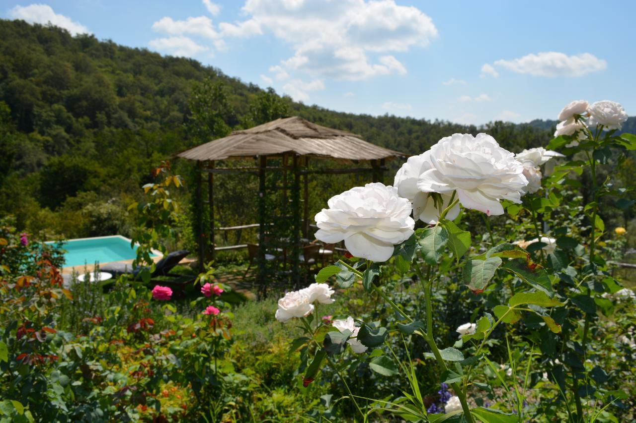 B&B Podere Il Colto Gaiole in Chianti Exterior foto