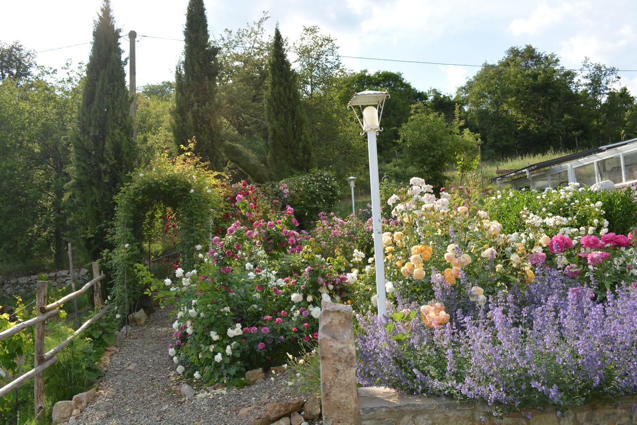 B&B Podere Il Colto Gaiole in Chianti Exterior foto