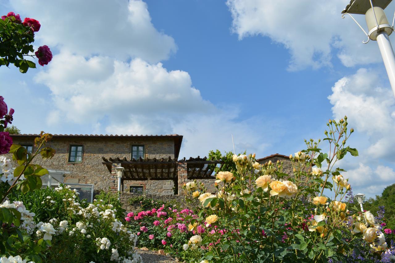 B&B Podere Il Colto Gaiole in Chianti Exterior foto